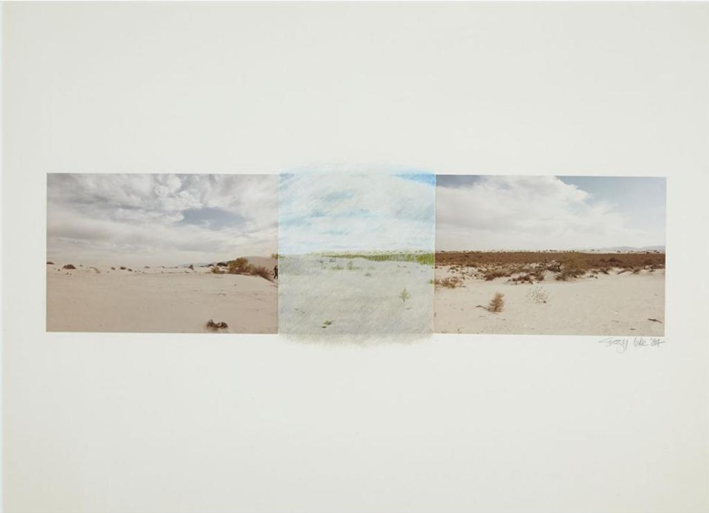 Suzy Lake (1947) - Untitled