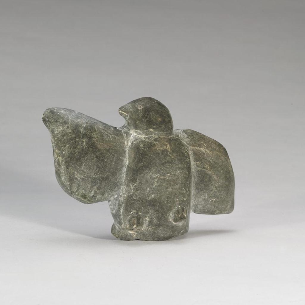 Aknasu - Bird
