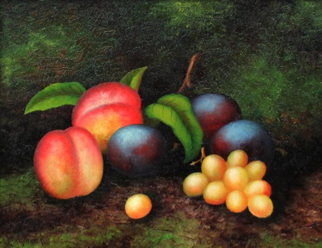 Carl F. H. Werner (1808-1894) - Pair of Still Lives