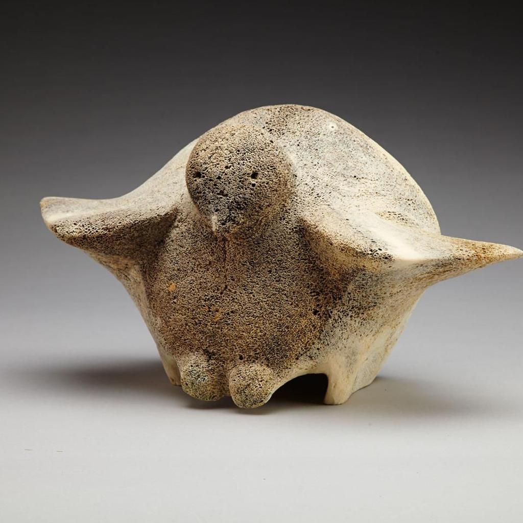 Tangora Napihe - Face And Bird