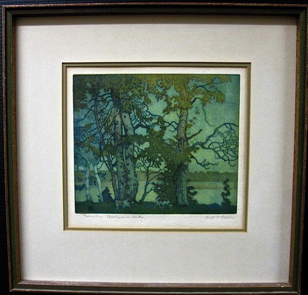 Frederick Stanley Haines (1879-1960) - Evening Balsam Lake