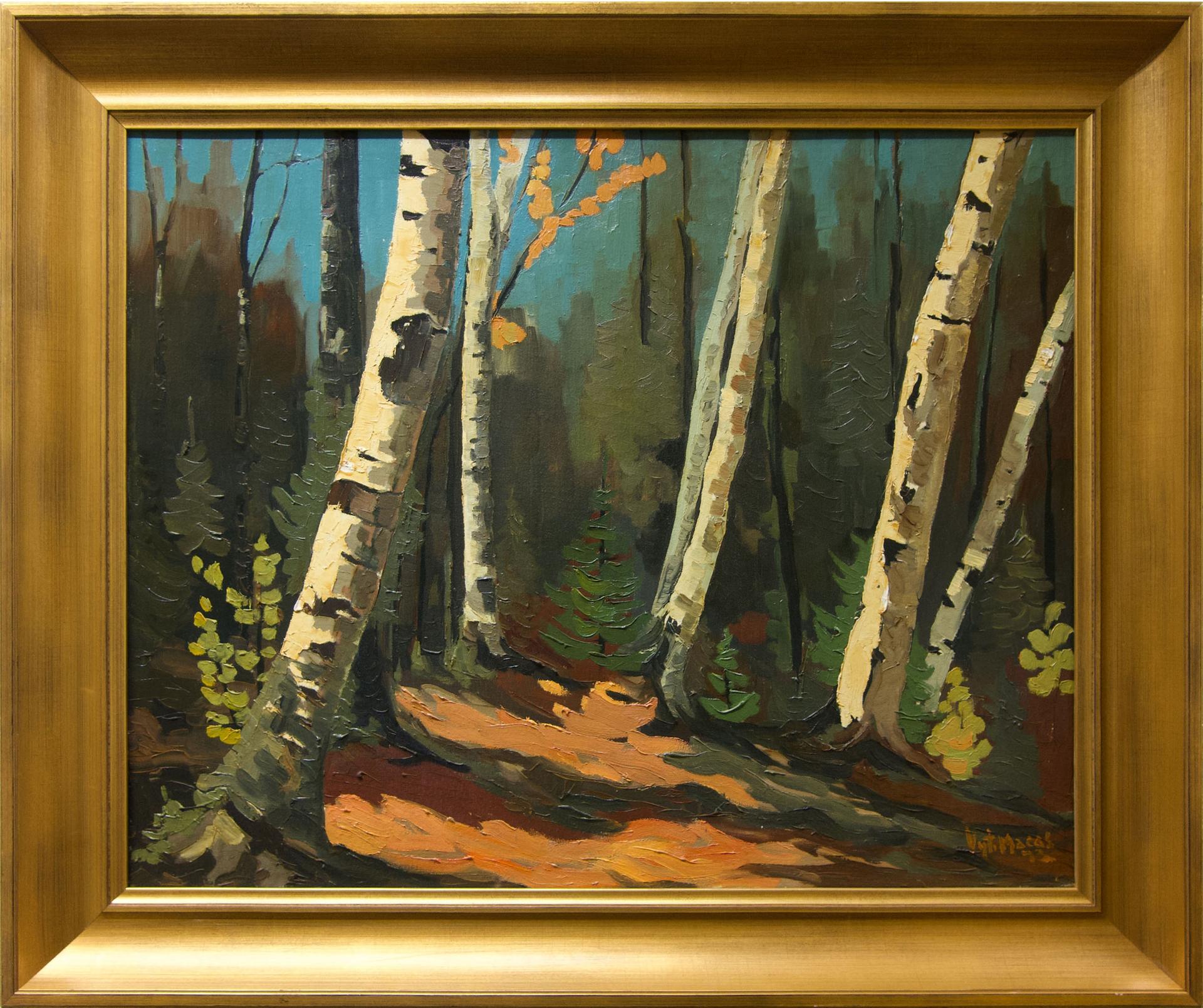 Vytautas MacAs - Sunlit Birches