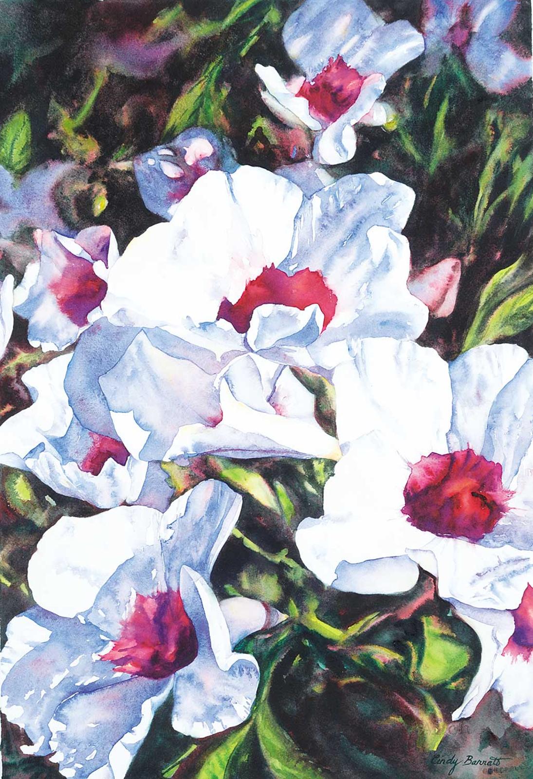 Cindy Barratt - Magenta on White, Shrubbery [Down Under Series]