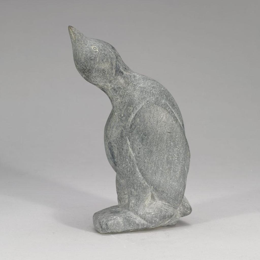 Ohotok - Bird