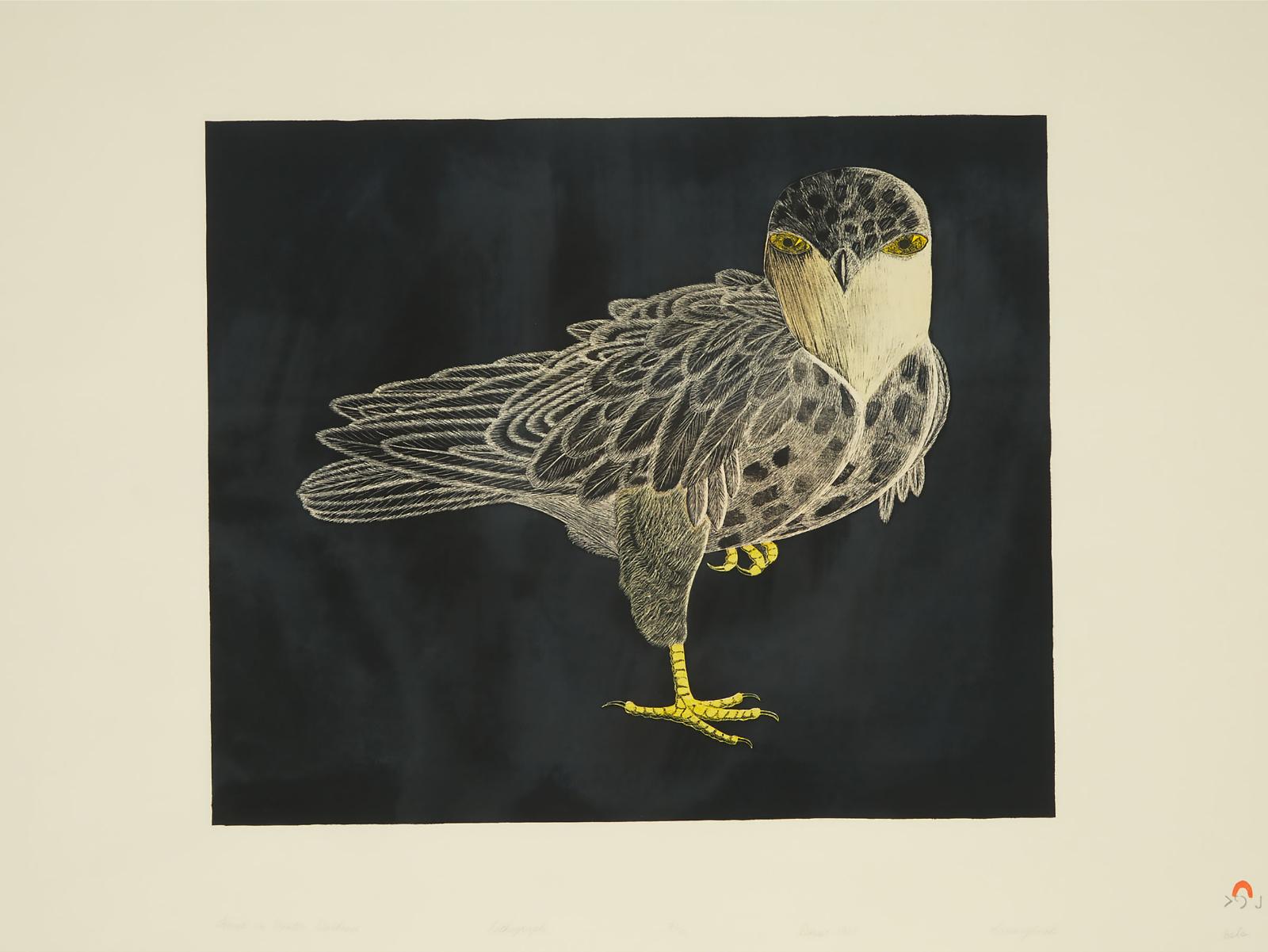 Kananginak Pootoogook (1935-2010) - Hawk In Winter Darkness