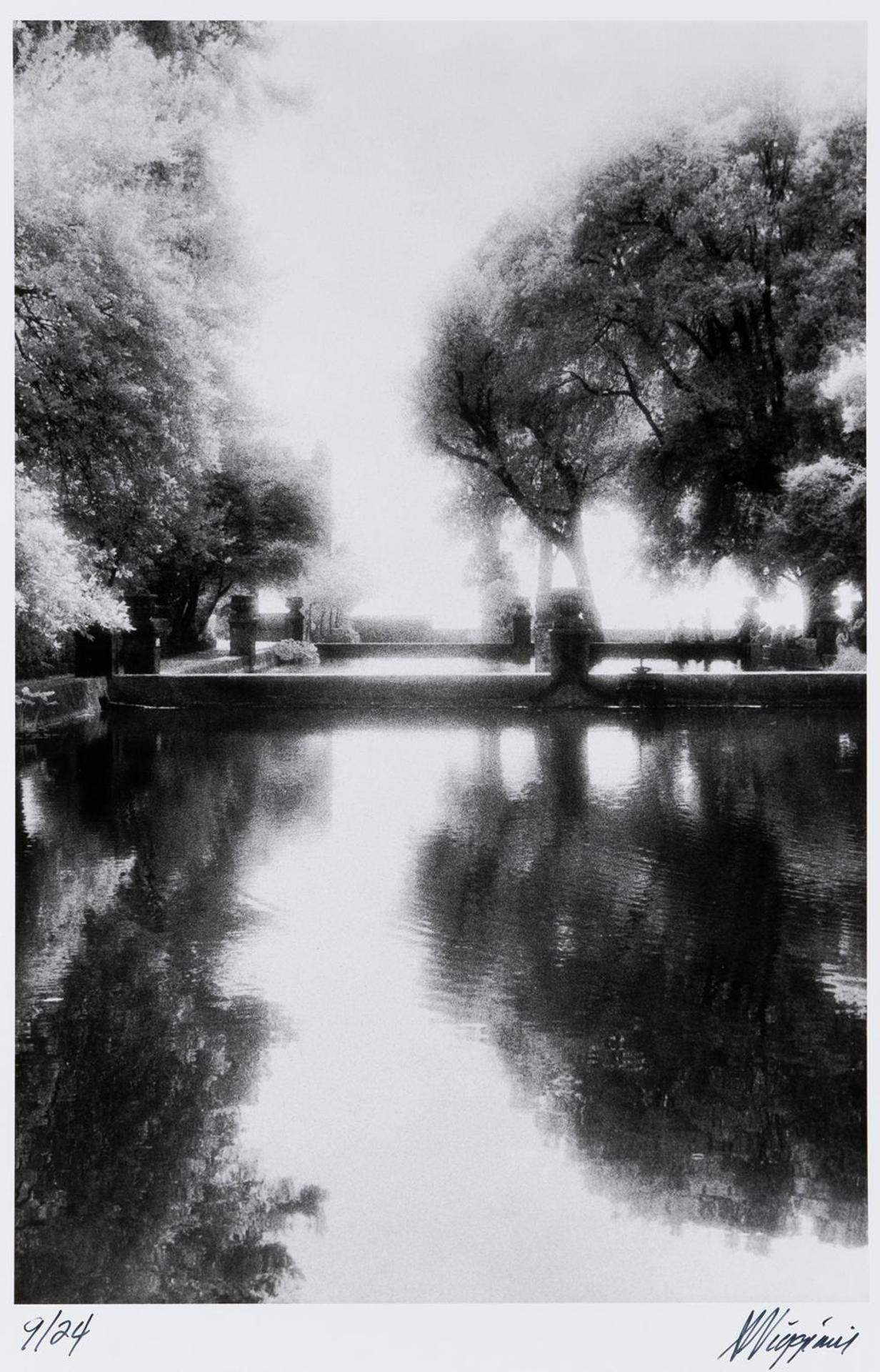 Anthony Viggiani - Pool of Peace and Tranquility