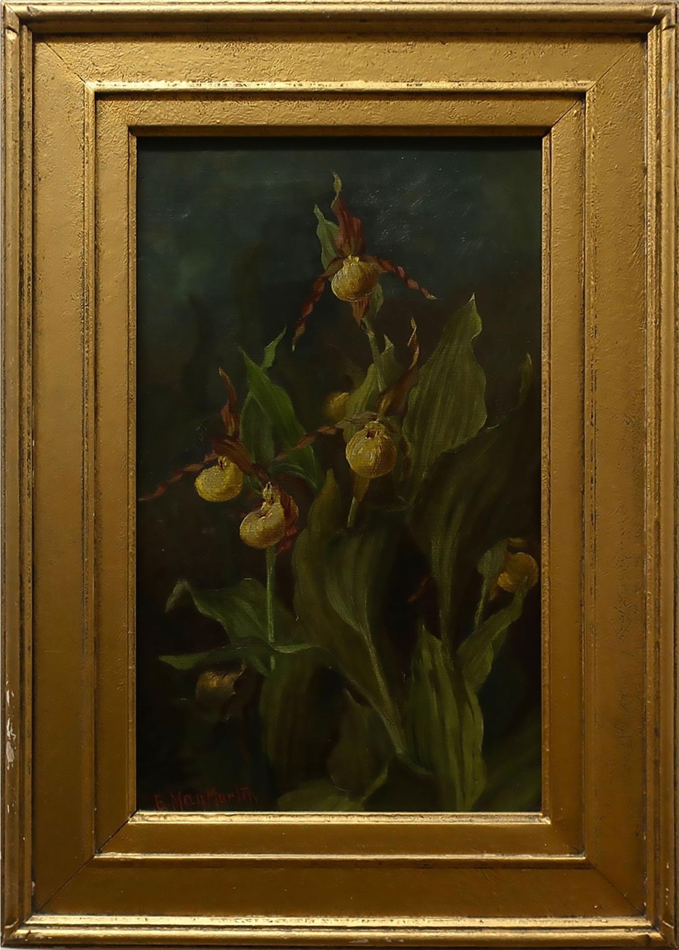 Emma May Martin (1865-1957) - Moccasin Flower