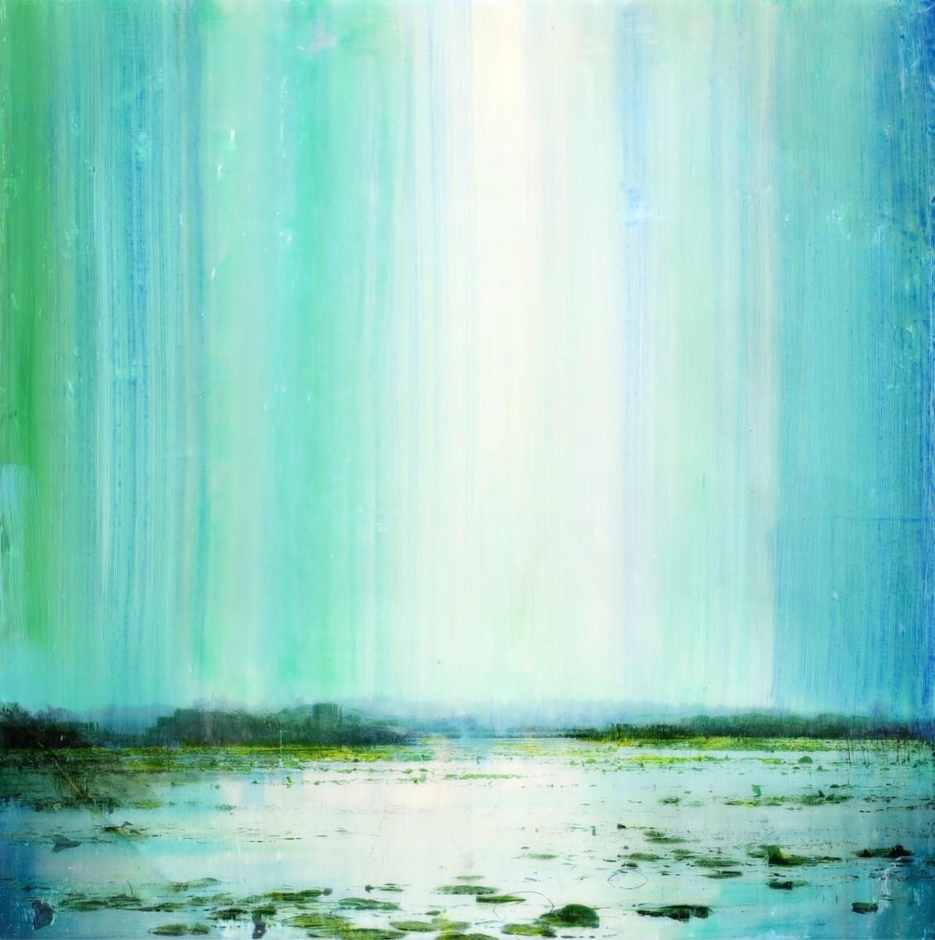 Steven Nederveen (1971) - Big Sky Reflected