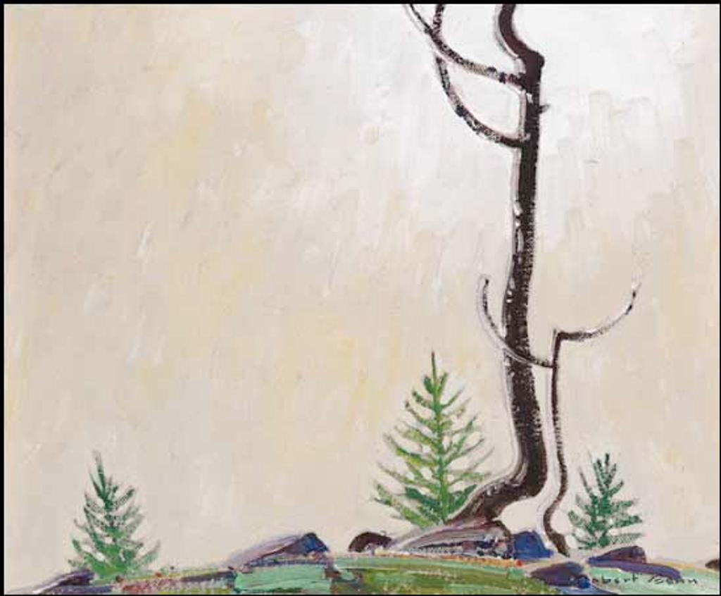 Robert Douglas Genn (1936-2014) - Light and Struggle