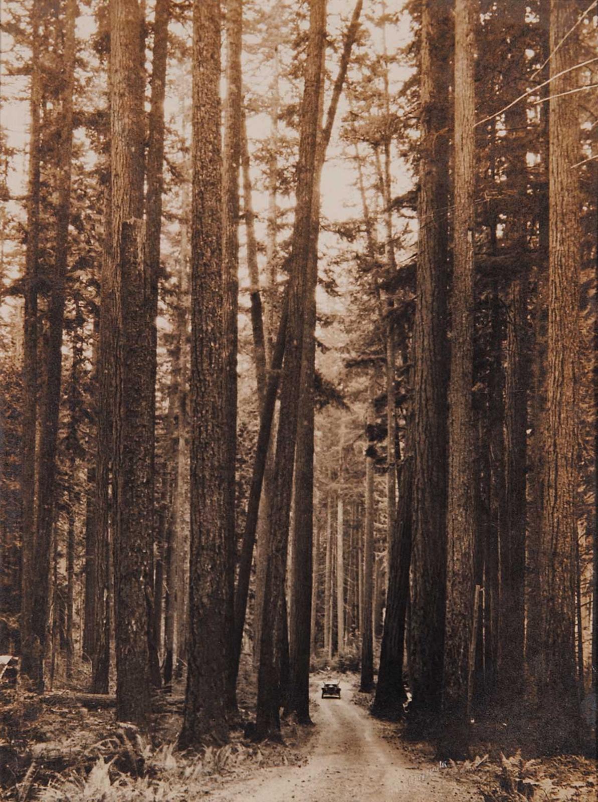 Leonard Frank - Canadian Highway, Nanaimo, Alberni, B.C.