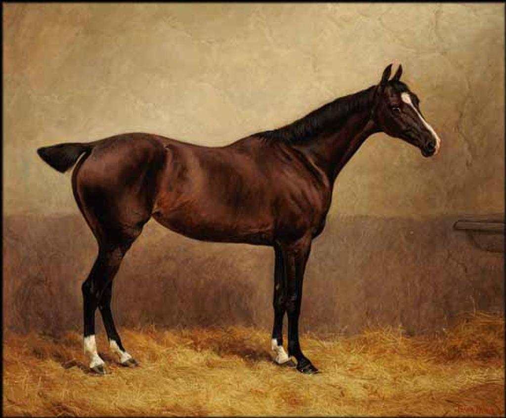 Frank Paton (1856-1909) - Portrait of a Racing Horse in a Stable