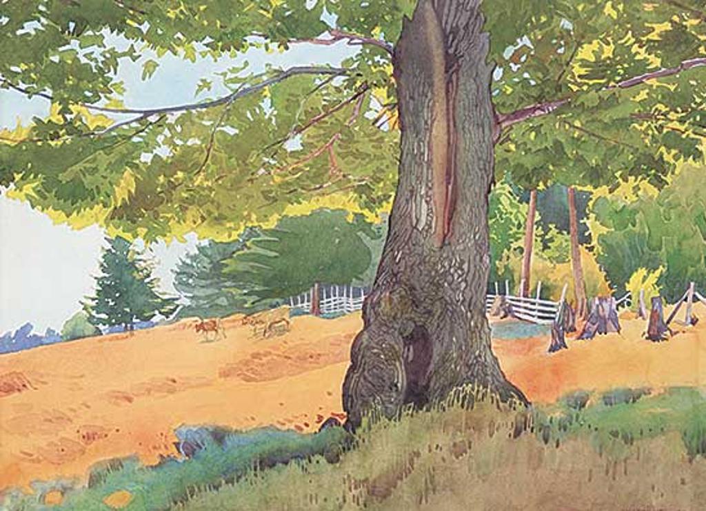 Walter Joseph (W.J.) Phillips (1884-1963) - Pasture at Saanich, B.C.