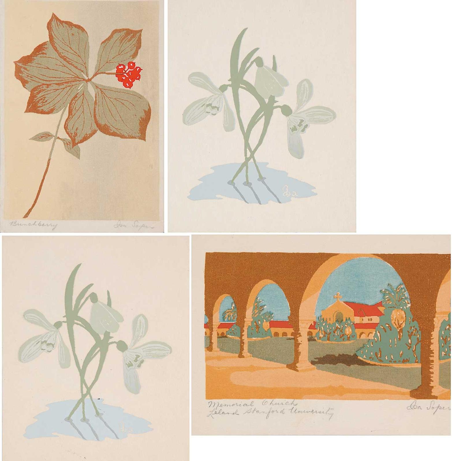 Isa Soper - Bunchberry