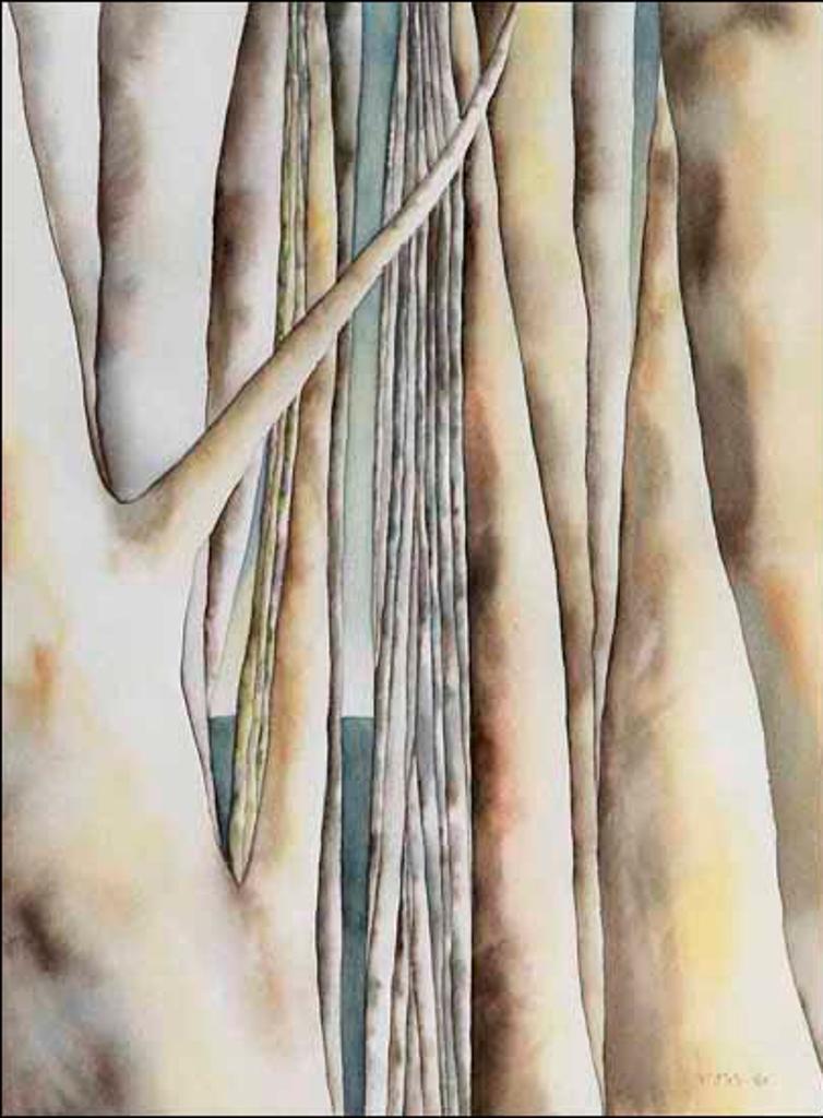 Jane Ross Evans - The Way at Last (02853/2013-3141)