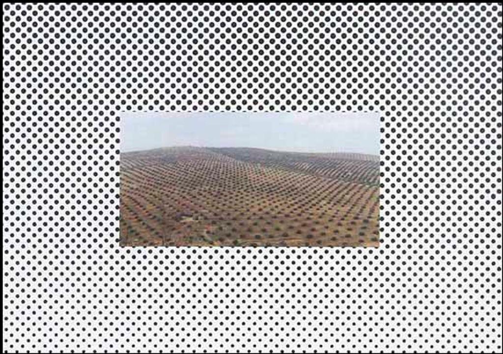 Serge Tousignant (1942) - Environment Transformed No. 1 Dot-scape (01337/2013-2412)