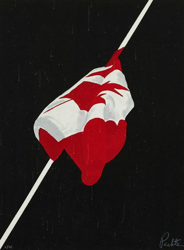 Charles Pachter (1942) - The Painted Flag