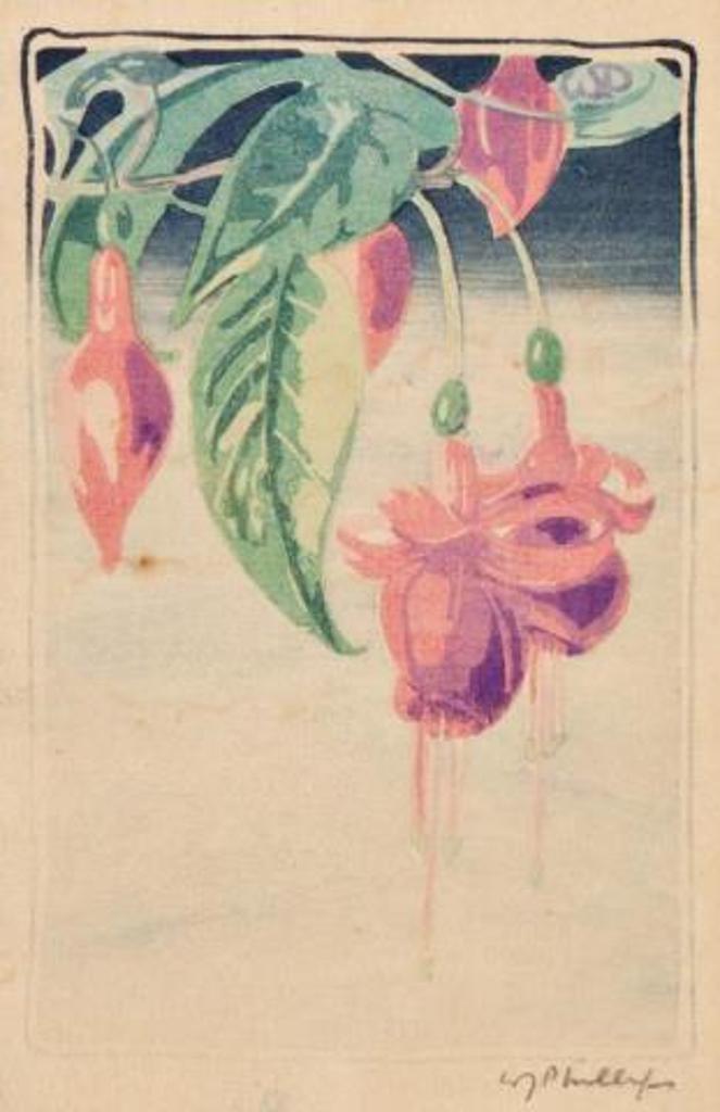 Walter Joseph (W.J.) Phillips (1884-1963) - Fuchsia