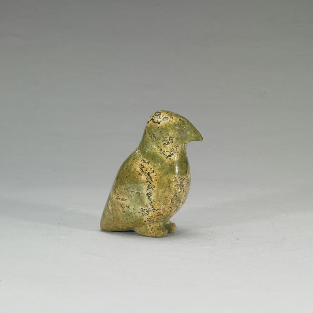 Periliak - Owl