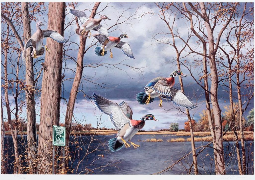 David A. Maass (1929) - Fruits of Your Labor - Wood Ducks