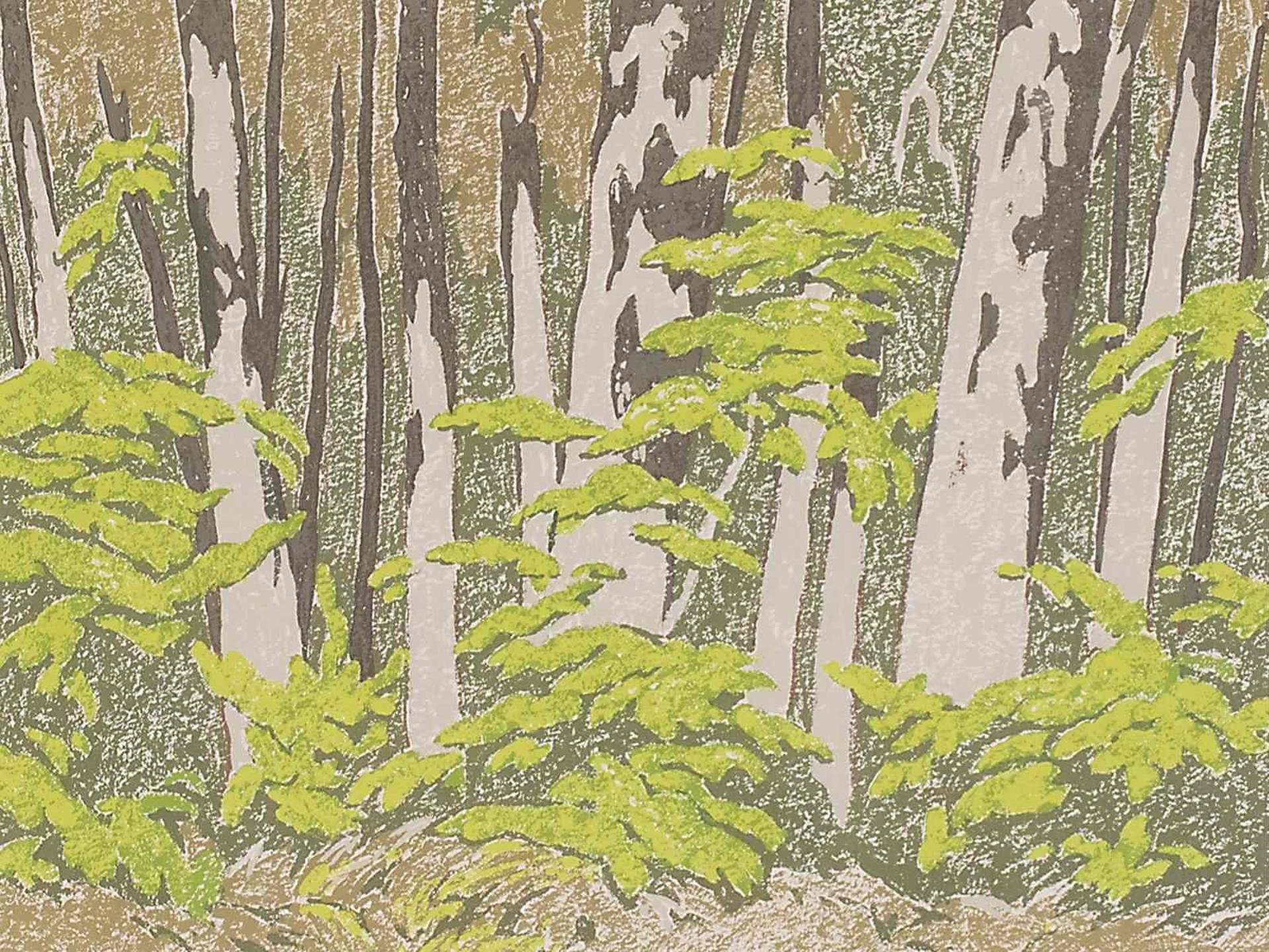 Alfred Joseph (A.J.) Casson (1898-1992) - Forest Edge