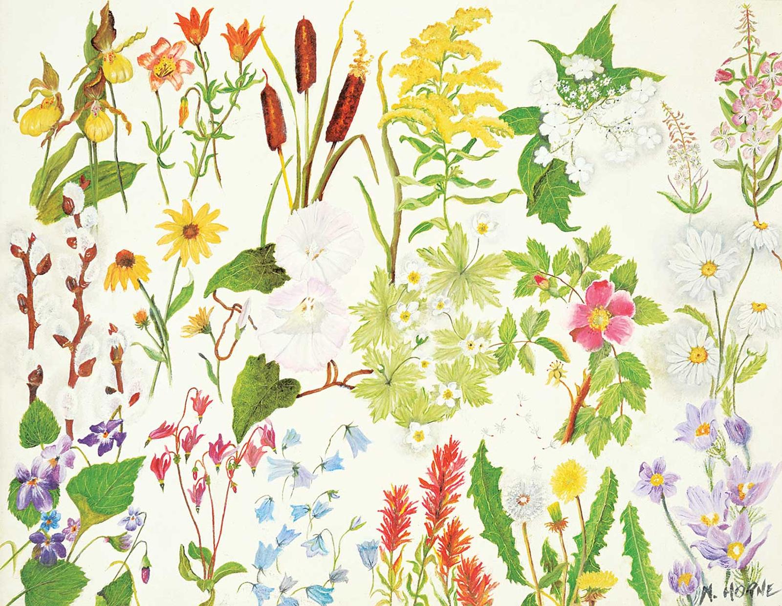 N. Horne - Alberta Wild Flower Garden