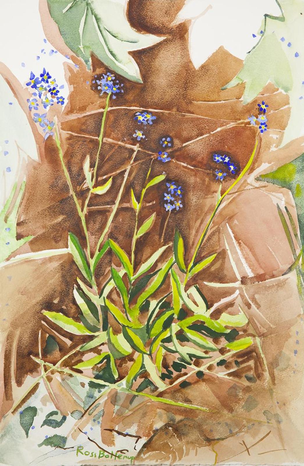 Ross Bollerup (1942) - Forget Me-Nots