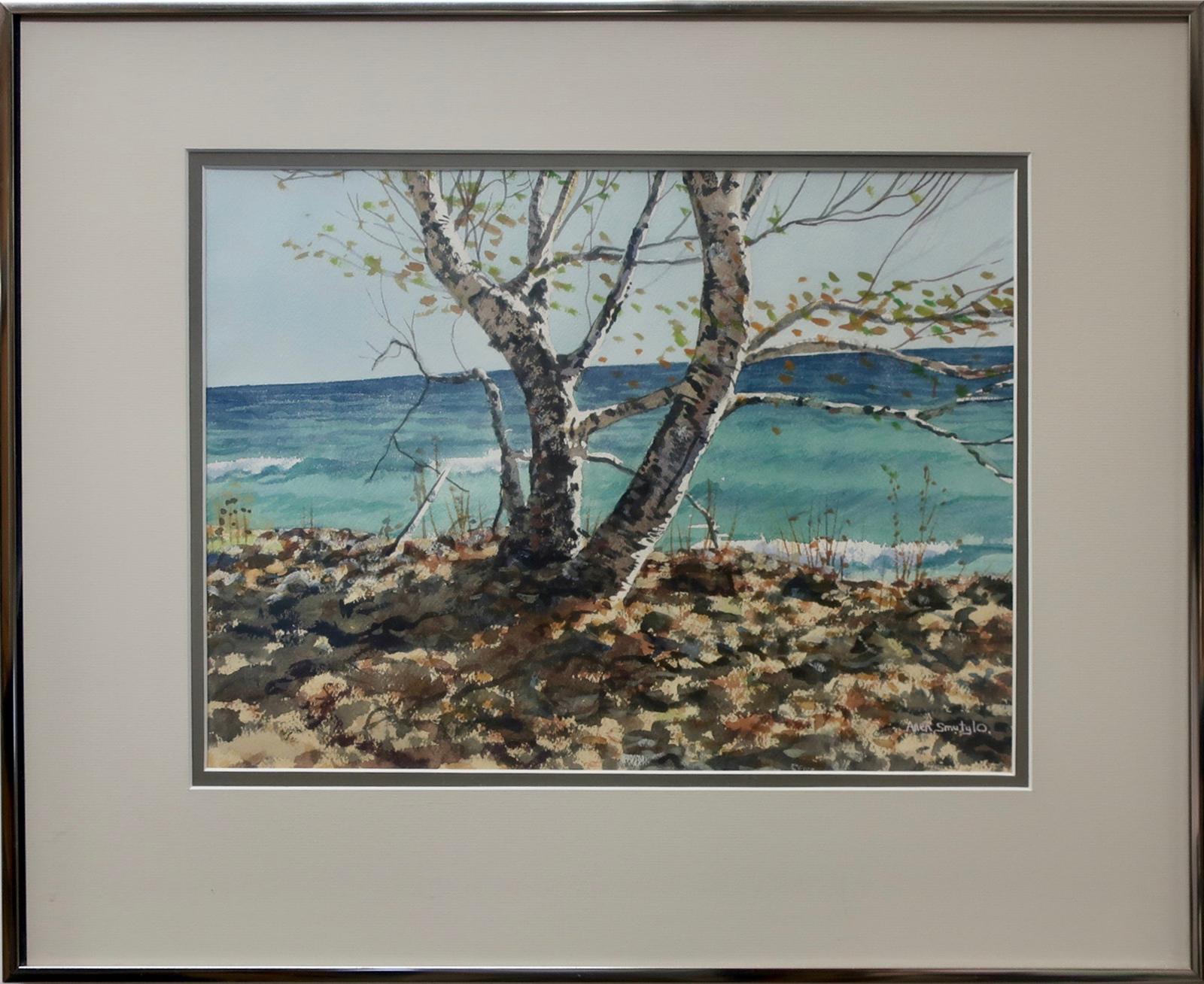 Allen Harry Smutylo (1946) - Georgian Birch