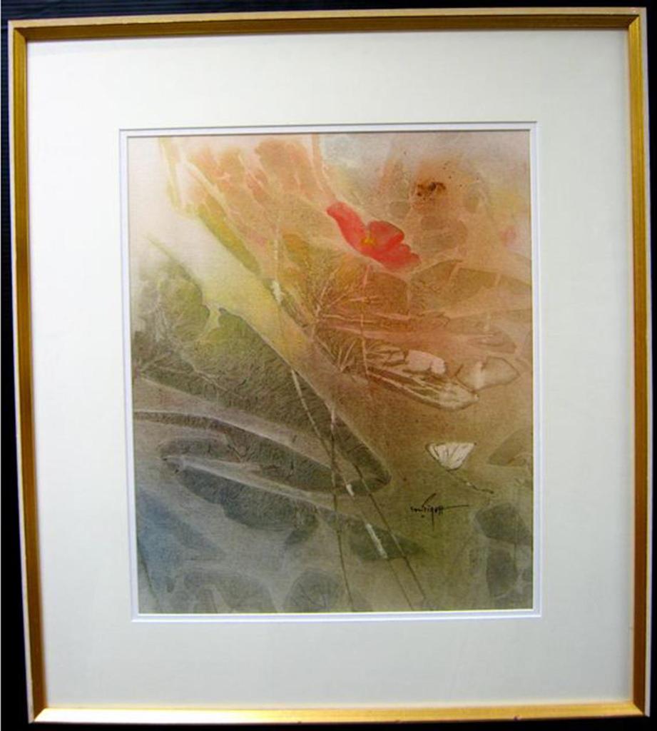 Marjorie Pigott (1904-1990) - Solitary Poppy