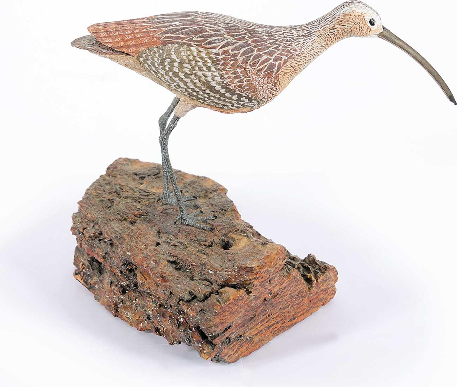 Don Ray - Long Billed Curlew
