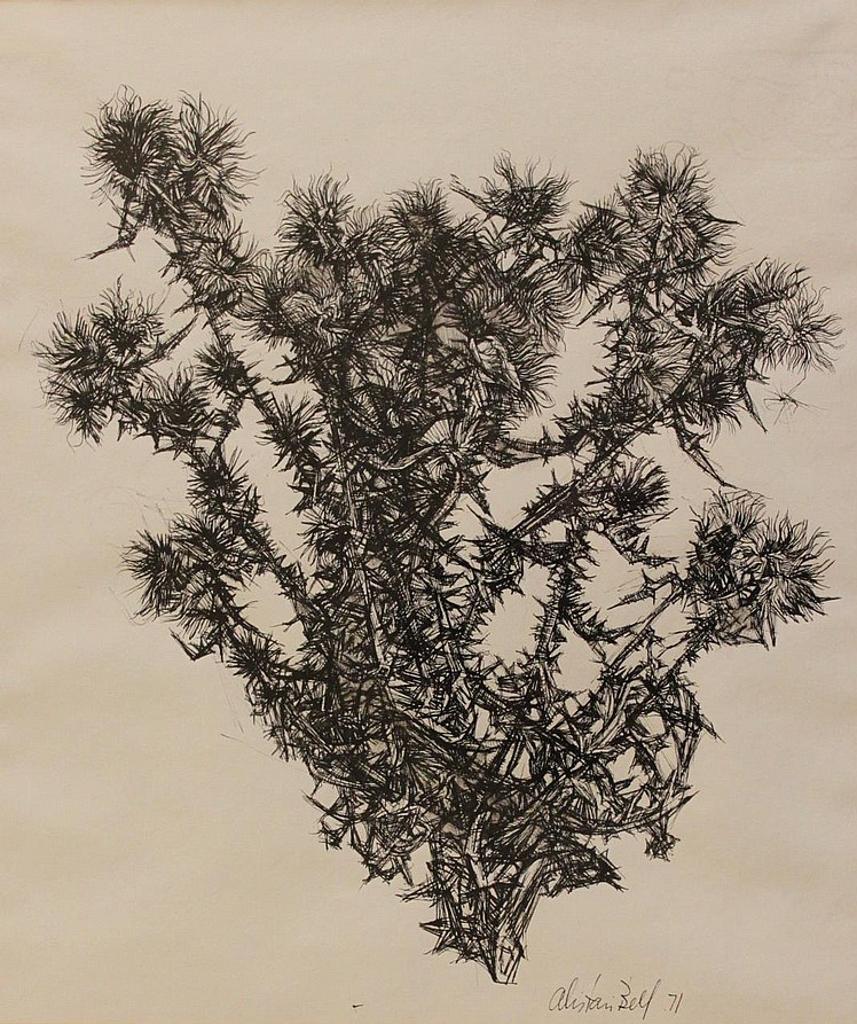 Alistair Macready Bell (1913-1997) - Dead Thistles II