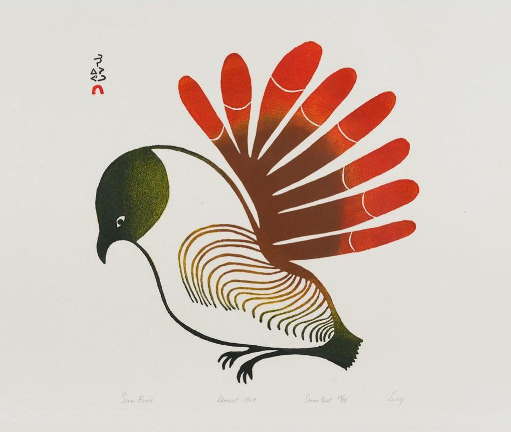 Lucy Qinnuayuak (1915-1982) - Sun Bird