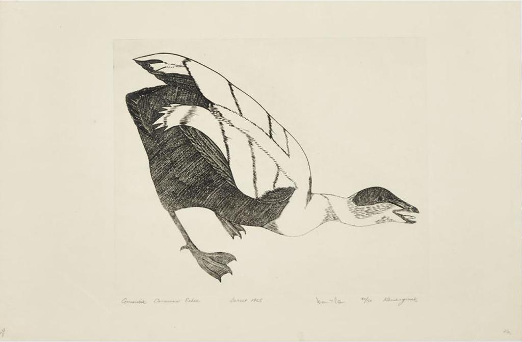Kananginak Pootoogook (1935-2010) - Amaulik Common Eider