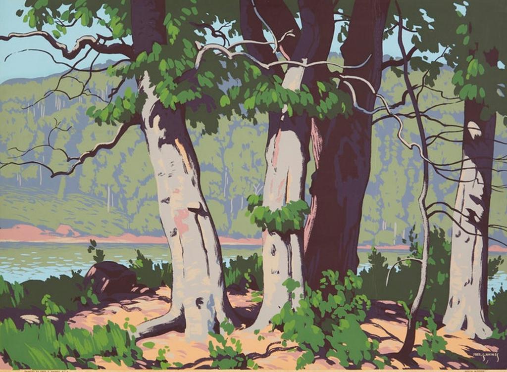 Frederick Stanley Haines (1879-1960) - Beech Wood