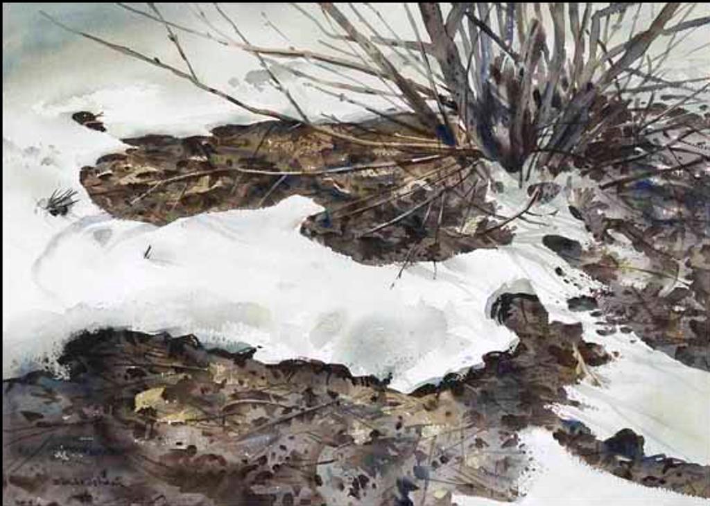 E. W. Ledsham - Receding Snow (02668/2013-2684)