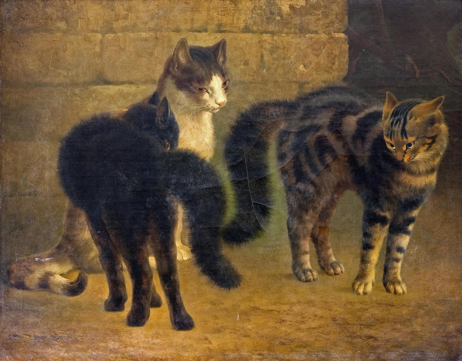 F. Earl - Rivals 24 3/4 x 29 3/4in (63 x 75.5cm)