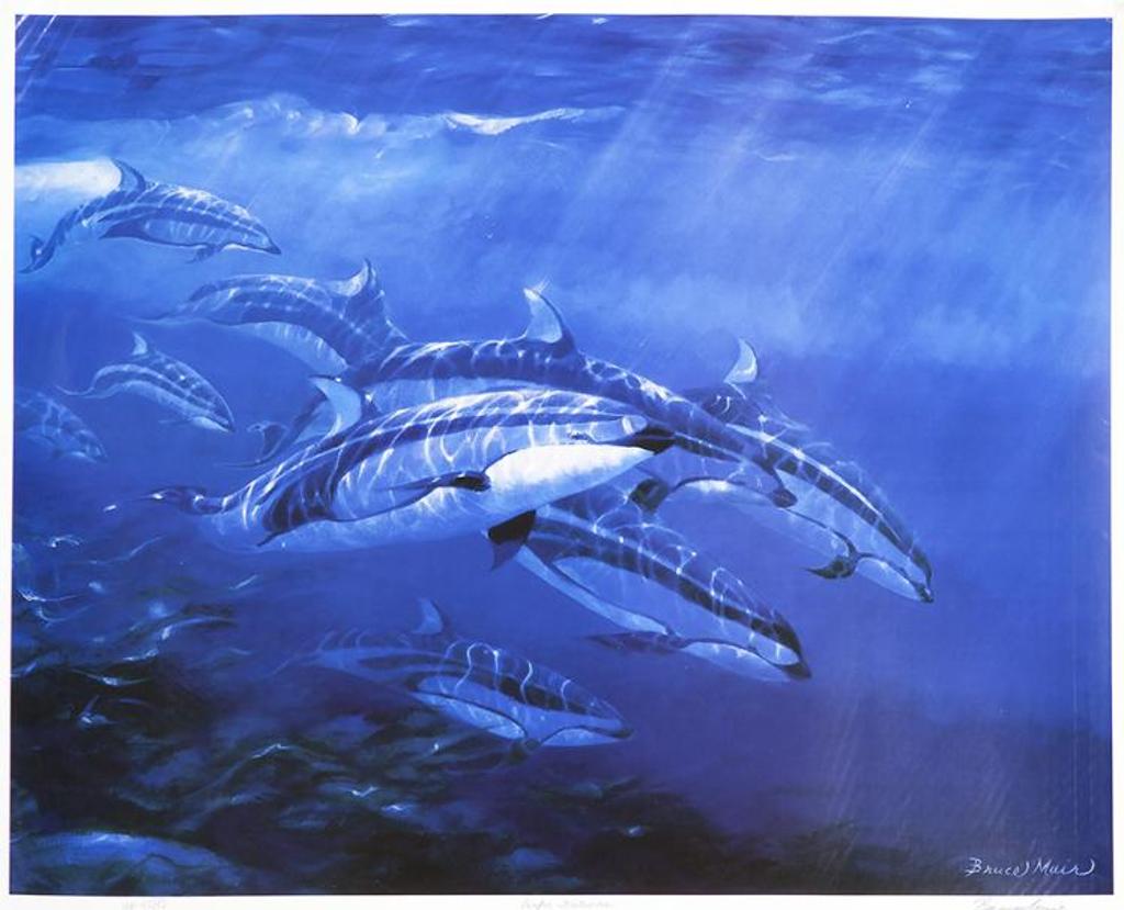 Bruce Muir (1953) - Pacific Whitesides
