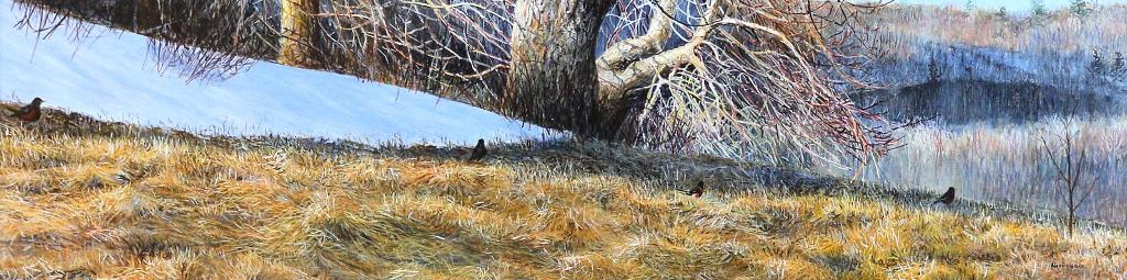 Alan Bateman (1965) - Spring Robins; 2013