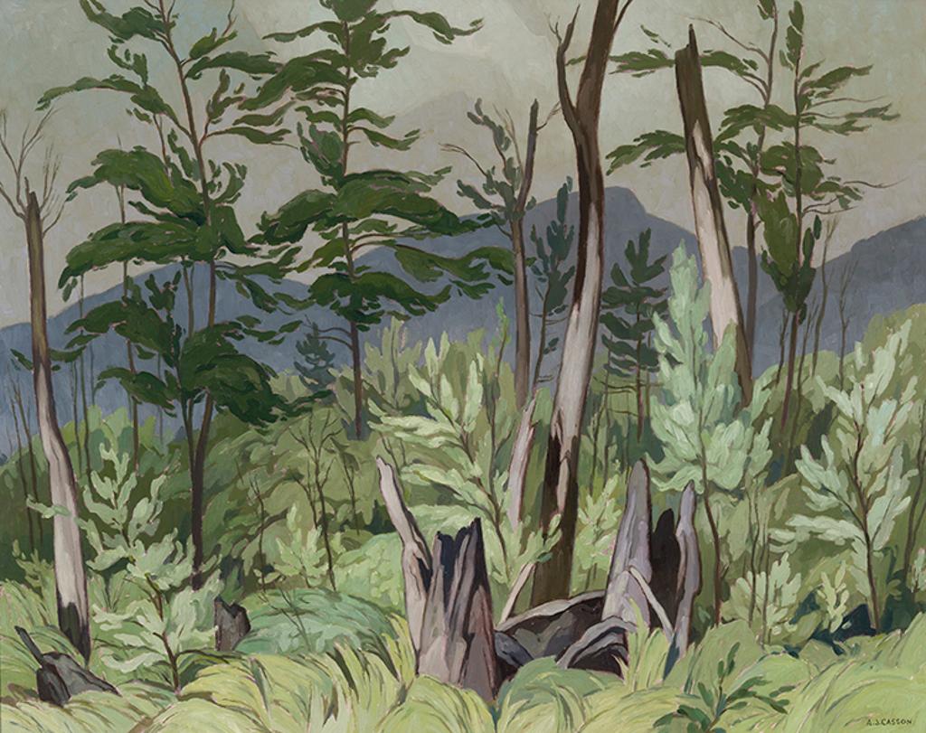 Alfred Joseph (A.J.) Casson (1898-1992) - Woodland Tangle