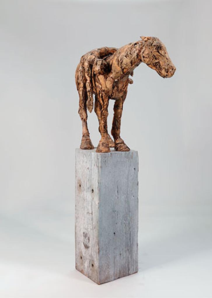 David Robinson (1964) - Beast and Burden