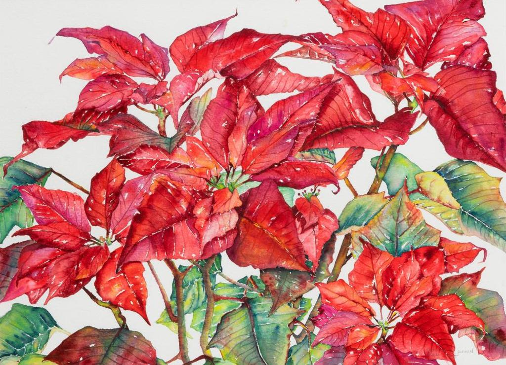 Carole Down - Red Poinsettia