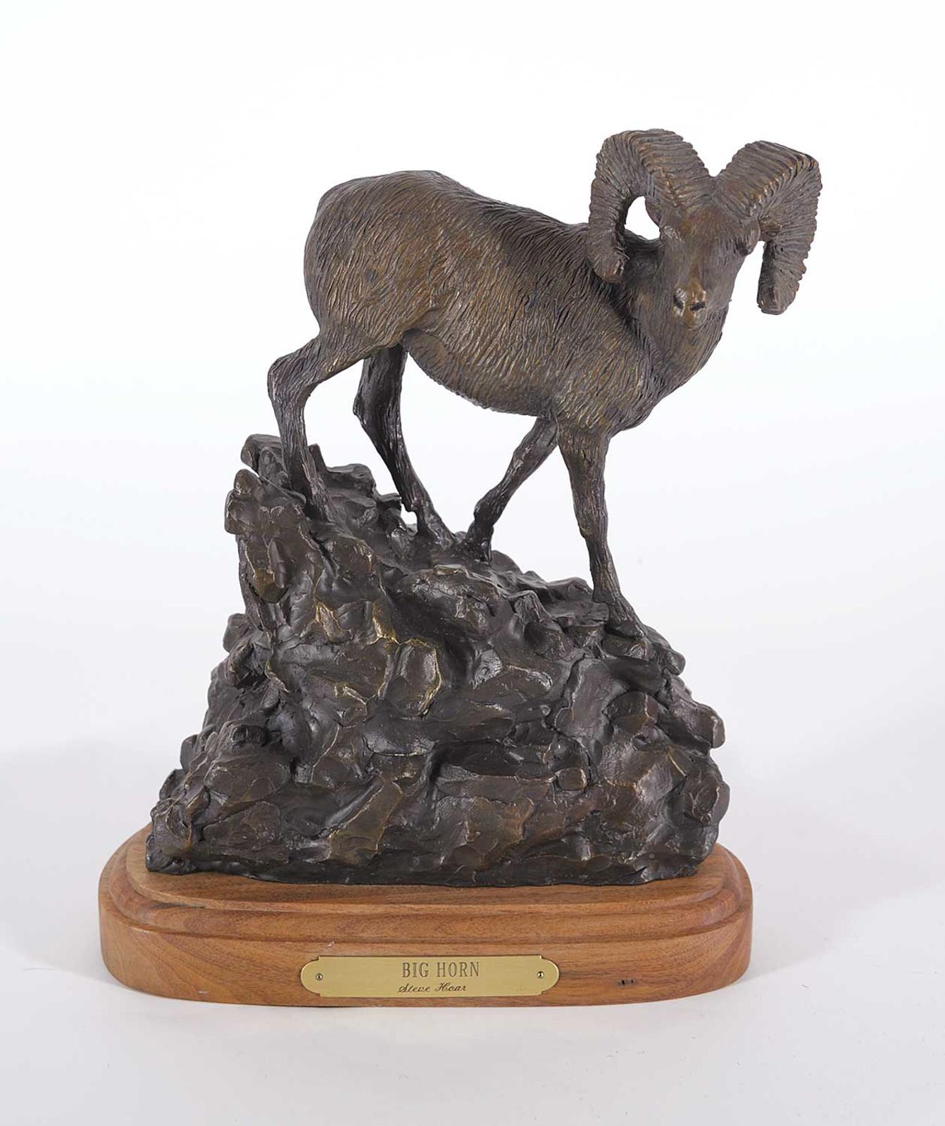 Steve Hoar - Big Horn #10/20