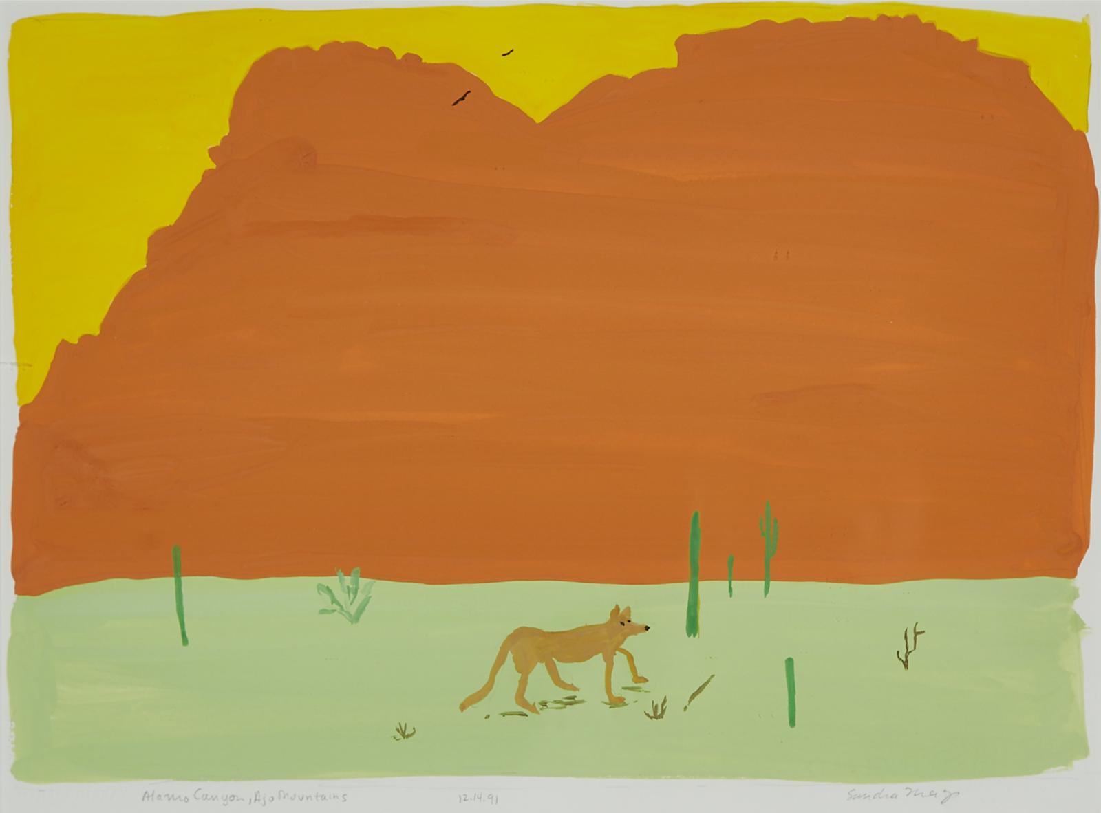Sandra Meigs (1953) - Alamo Canyon, Ajo Mountains, 1991