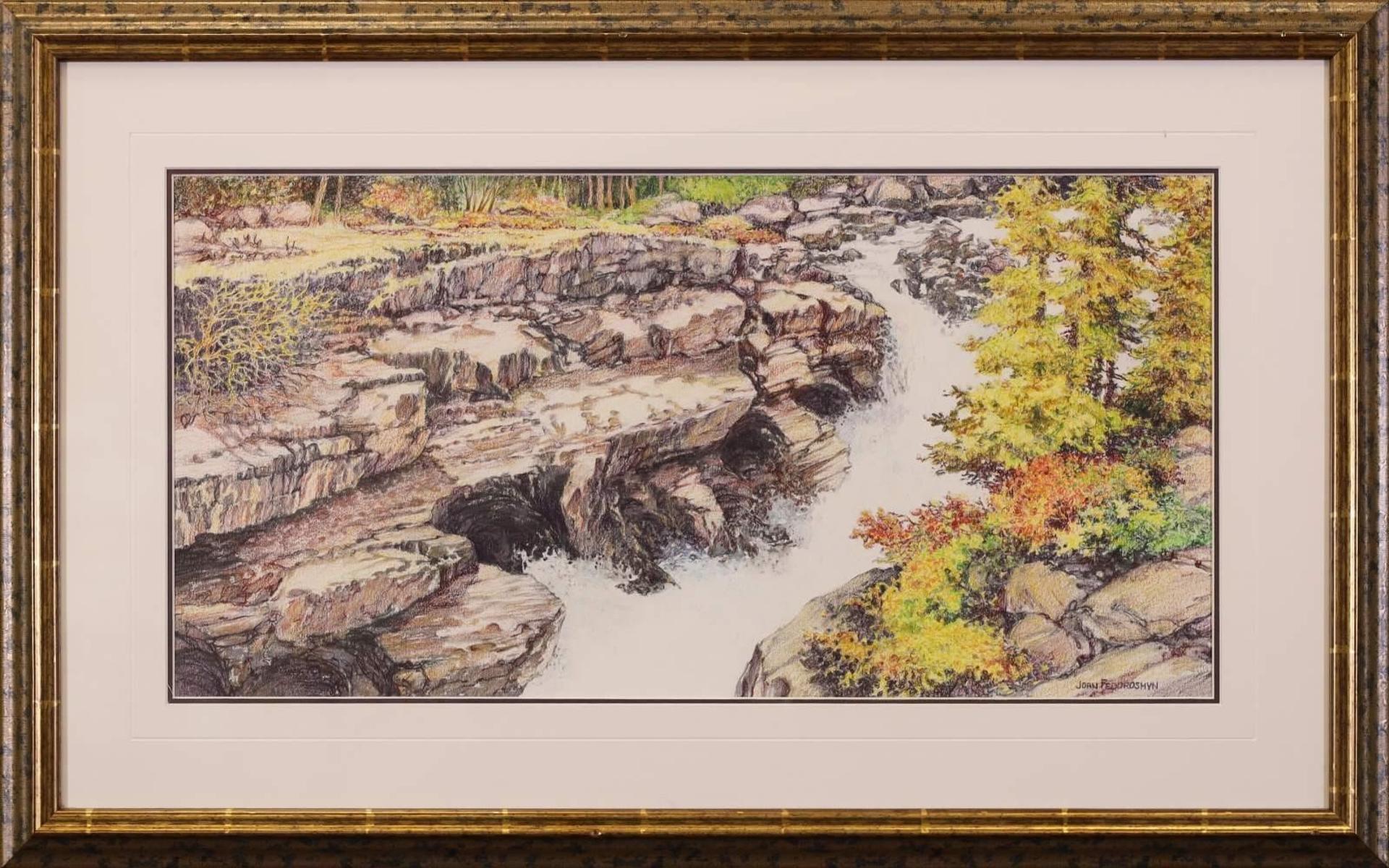 Joan Fedoroshyn - “Numa Falls, Kootenay National Park”