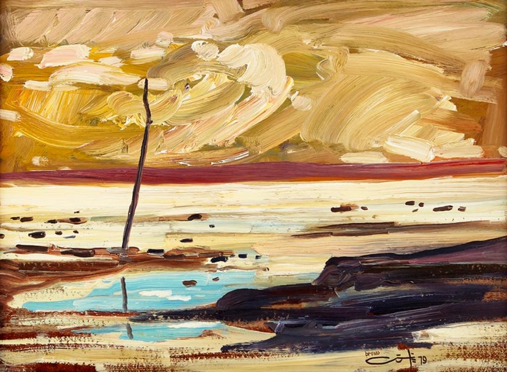 Bruno Côté (1940-2010) - L'Ile aux coudres du bas de la baie