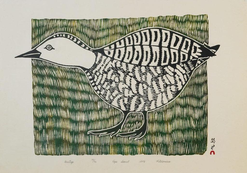 Pitaloosie Saila (1942-2021) - Anatayo