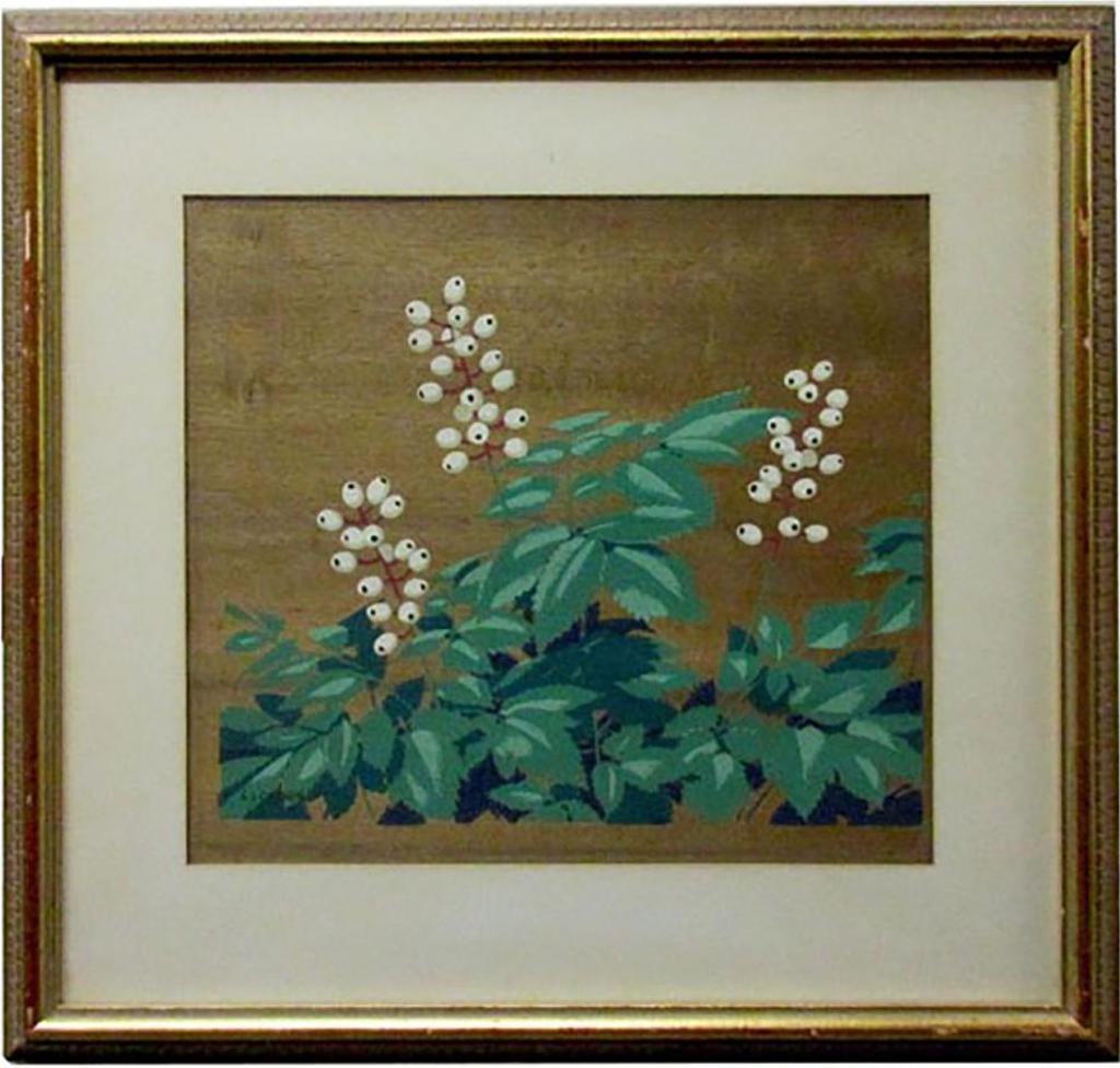 Alfred Joseph (A.J.) Casson (1898-1992) - White Baneberry (Actaea Pachypoda)