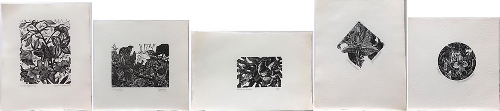 Gerard William Brender a Brandis (1942) - Various Titles