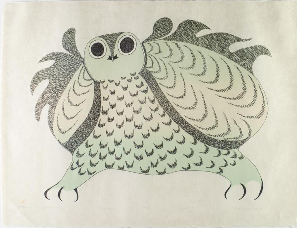 Pitaloosie Saila (1942-2021) - Great Owl