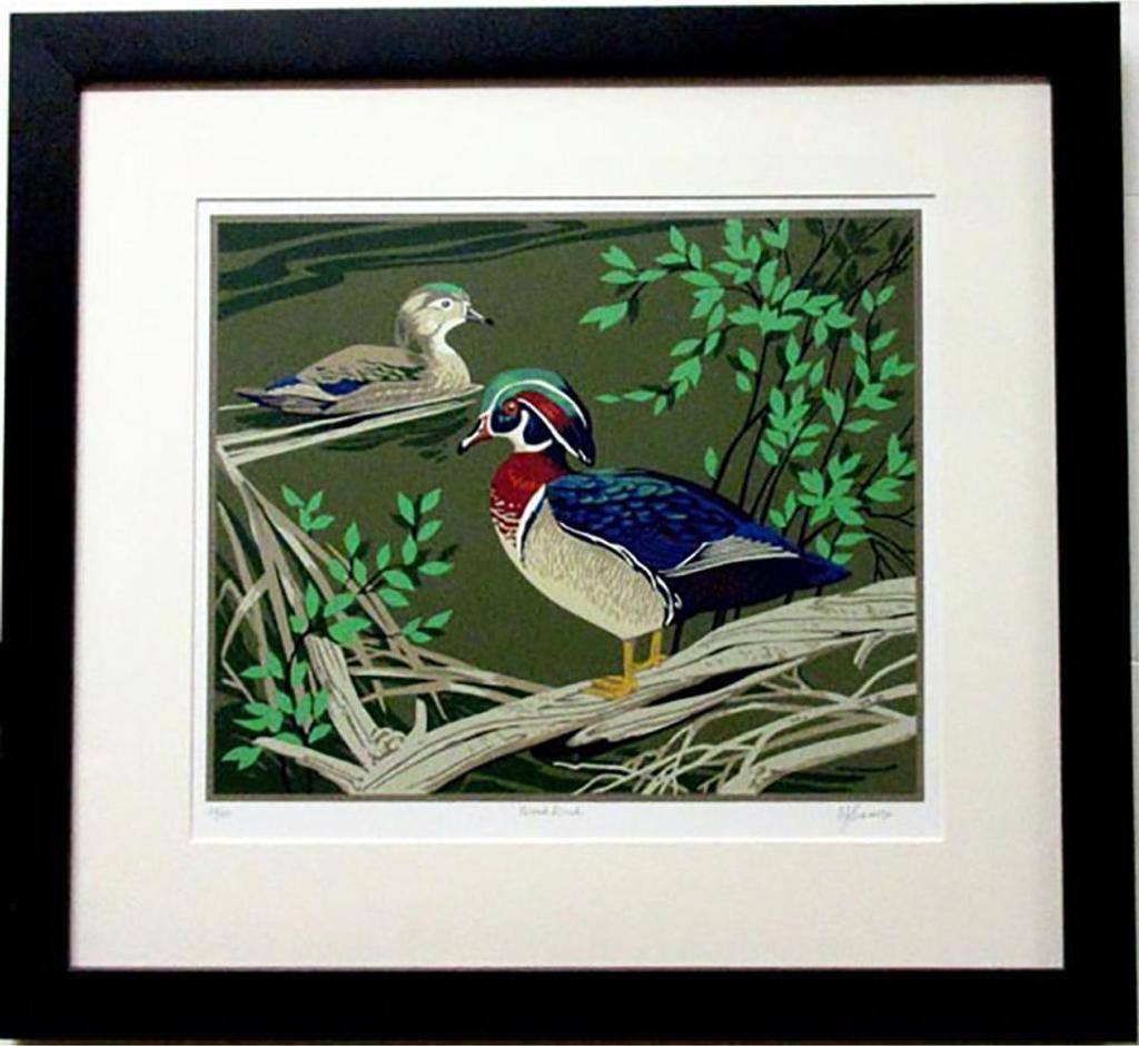 Alfred Joseph (A.J.) Casson (1898-1992) - Wood Duck
