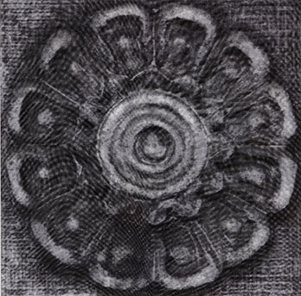 Penelope Stewart - Rosette & Coil Series #2 (03918)
